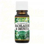 Saloos Esenciální olej Nachlazení & Imunita 10 ml – Zboží Dáma