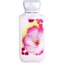 Bath & Body Works Cherry Blossom tělové mléko 236 ml