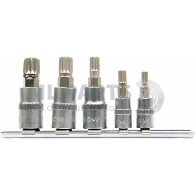 Sada nástavců spline 5 kusů, 1/4" 3/8" M5 M6 M8 M10 M12 YATO YT-04360 – Zboží Mobilmania