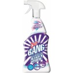 Cillit Bang Bleach & Hygiene univerzální čistič pro bělení a čistotu 750 ml rozprašovač – Zboží Dáma