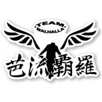 Tokyo Revengers Samolepka Team Walhalla – Hledejceny.cz