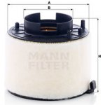 MANN-FILTER Vzduchový filtr C17009 – Hledejceny.cz