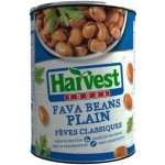FAVA FAZOLE 400 g – Sleviste.cz