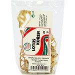 Sunfood Lotus kořen sušený 20 g – Zboží Dáma