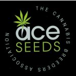 Ace Seeds Violeta semena neobsahují THC 5 ks – Zboží Dáma