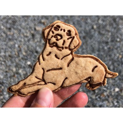 TVOŘÍTKO Labrador VI - vykrajovátko – Hledejceny.cz
