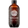 Ledové čaje Erebos Kombucha 250 ml