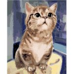 zuty Malování podle čísel Zvědavá kočka 40 x 50 cm bez rámu a bez vypnutí plátna – Hledejceny.cz