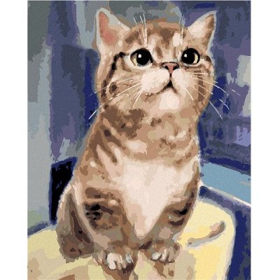 zuty Malování podle čísel Zvědavá kočka 40 x 50 cm bez rámu a bez vypnutí plátna – Hledejceny.cz