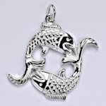 Čištín Zlatý přívěsek, znamení zvěrokruhu ryba P 941 – Zboží Mobilmania