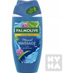 Palmolive Thermal Spa Mineral Massage sprchový gel 250 ml – Hledejceny.cz