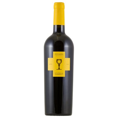 Apulie Schola Sarmenti Negroamaro Roccamora 2021 13,5% 0,75 l (holá láhev) – Hledejceny.cz