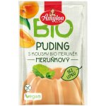 Amylon Bio puding meruňkový s kousky ovoce bezlepkový 40 g – Zboží Dáma