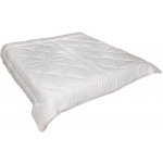 Brotex přikrývka Luxus Plus letní 600g 200x200 – Zboží Mobilmania