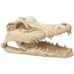 Repti Planet Krokodýl lebka 13,8x6,8x6,5 cm – Zbozi.Blesk.cz