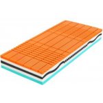 Tropico Amundsen 1+1 – Sleviste.cz