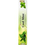 Garden Fresh indické vonné tyčinky Cool mint 15 g – Zboží Dáma