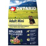 ONTARIO Dog Senior Mini Lamb & Rice 2,25kg