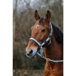 EQUITHEME Spring stájovka pro koně b.modrá – Sleviste.cz