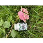 For long life POWER OF PROTEOLYTIC ENZYMES 12 enzymů + lumbrokináza nattokináza ATP 90 kapslí 60 dní – Sleviste.cz