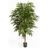 Květina Luxusní umělý strom ROYAL LONGIFOLIA STROM, 150 cm