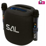 SAL PARCUBE Boom Box 100W Bluetooth 2x mikrofon – Sleviste.cz