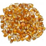 Avicentra kukuřice 25 kg – Zboží Mobilmania