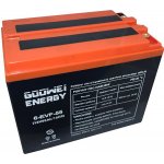 Goowei Energy ELECTRIC VEHICLE 6-EVF-55 55Ah 12V – Sleviste.cz