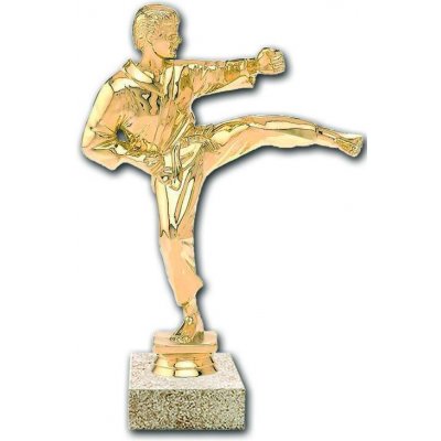 F1042 Soška karate muž – Hledejceny.cz