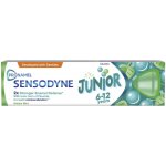 Sensodyne Dětská Junior Bubble Mint 75 ml – Hledejceny.cz