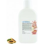 PM Aqualog esence do parních kabin papaya 863-001/D 1 l – Hledejceny.cz