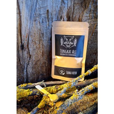 Soma Herb Tongkat Ali extrakt 10% eurycomanonu 10 g – Hledejceny.cz