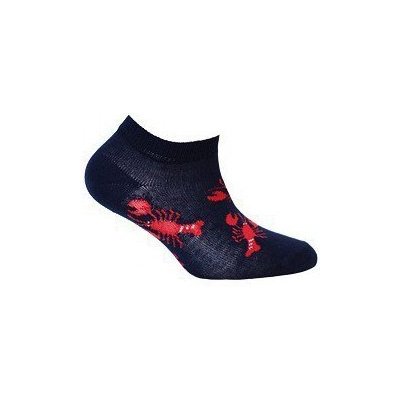 Wola W21.P01 s vzorem chlapecké ponožky blue – Zboží Mobilmania