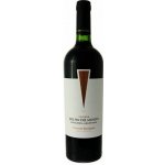 Del Fin Del Mundo Reserva Cabernet Sauvignon 2022 13,5% 0,75 l (holá láhev) – Hledejceny.cz
