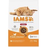 Iams Cat Adult Ind Chicken 10 kg – Hledejceny.cz
