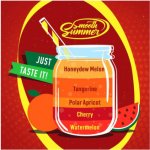 Big Mouth Smooth Summer Mandarinka a žlutý meloun 10 ml – Zboží Dáma