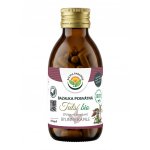 Salvia Paradise Tulsí bazalka posvátná Bio 120 kapslí – Hledejceny.cz