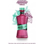 Mintis Gin Blackcurrant 41,8% 0,7 l (holá láhev) – Zbozi.Blesk.cz