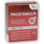Nutristar Prostamulin 60 tablet – Hledejceny.cz