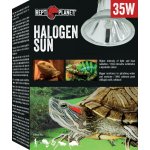 Repti Planet Halogen Sun 35 W – Zboží Dáma