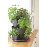 Prosperplast Petrželák COUBI HERBAL grafit 29,5 cm – Sleviste.cz