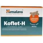Himalaya Koflet H Ginger 12 pastilek – Hledejceny.cz