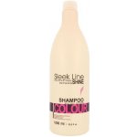 Stapiz Sleek Line Colour Shampoo 1000 ml – Zbozi.Blesk.cz