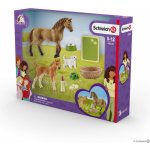 Schleich 42432 Set hříbě a Quarter kůň se štěňátkem a doplňky – Zboží Mobilmania