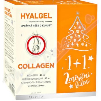 Silvita Hyalgel Collagen balení 2 x 500 ml