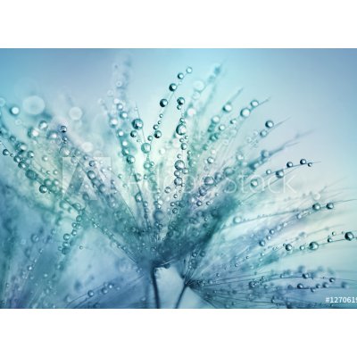 WEBLUX Samolepka fólie Dandelion Seeds in the drops of dew on a beautiful blurred background. Dandelions on a beautiful blue background. Drops of dew sparkle on the dande, 100 x 73 cm – Hledejceny.cz