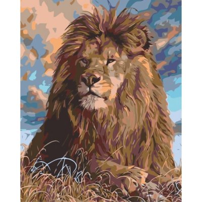 MALUJEŠ Malování podle čísel KRÁL ZVÍŘAT Rozměr 40 x 50 cm Rámování vypnuté plátno na rám – Zbozi.Blesk.cz