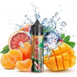 Jace Liquids Rocket Girl Mango Boost Ice Shake & Vape 15 ml – Zbozi.Blesk.cz