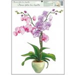 Anděl Přerov Okenní fólie bez lepidla orchideje tmavě růžová 42 x 30 cm – Zboží Dáma