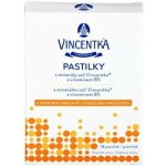 Vincentka Osvěžující ovocné pastilky 18 ks – Hledejceny.cz